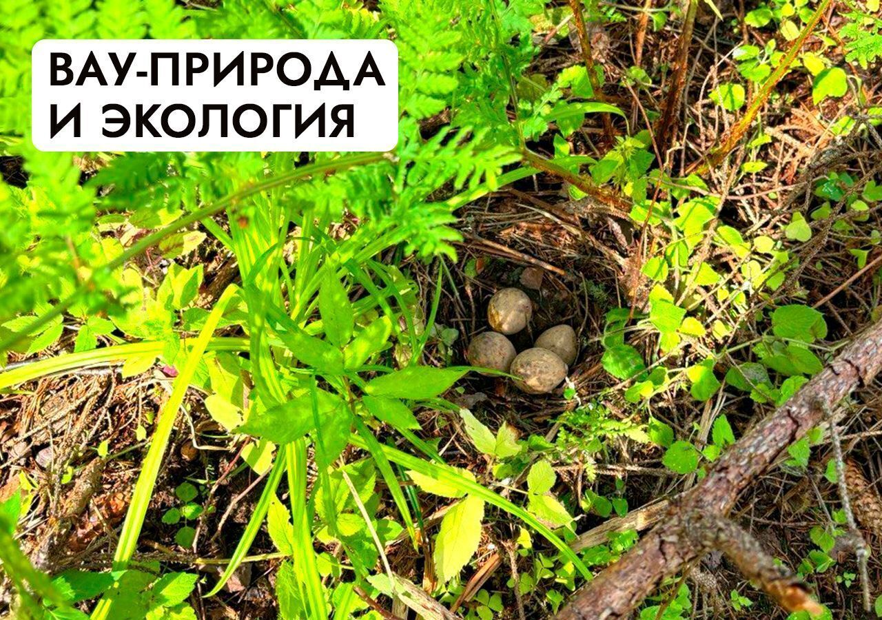 земля г Истра д Рождествено 47 км, Солнечногорск, Пятницкое шоссе фото 33