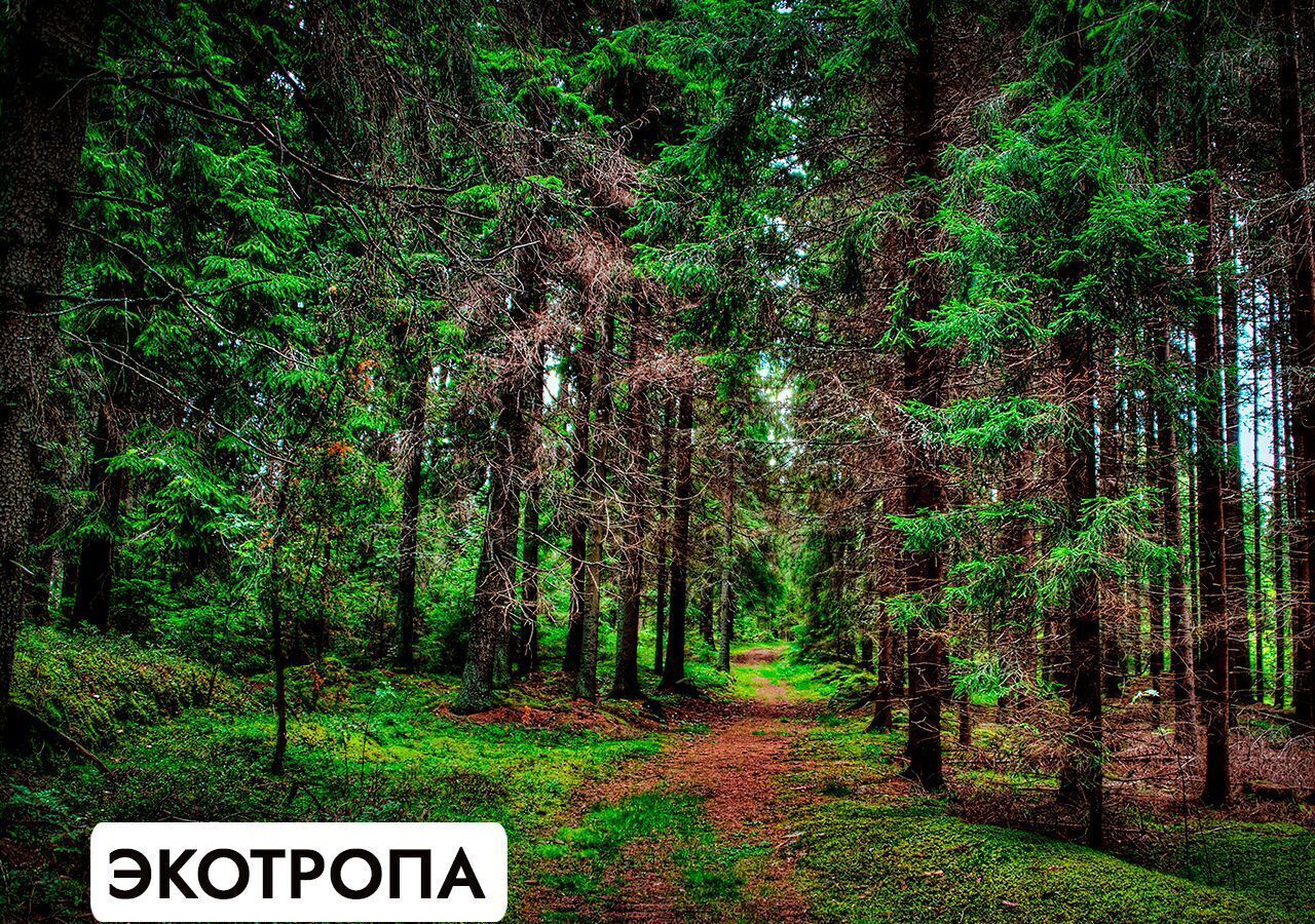 земля г Истра д Рождествено 47 км, Солнечногорск, Пятницкое шоссе фото 37