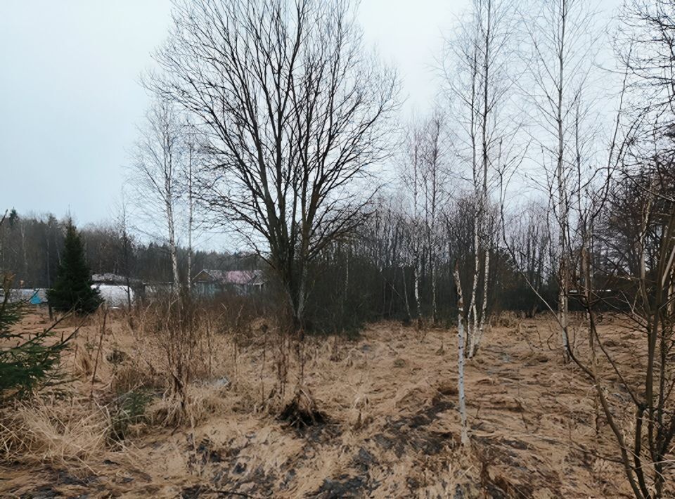 земля г Сергиев Посад снт Горки 5, Наро-Фоминский городской округ фото 2