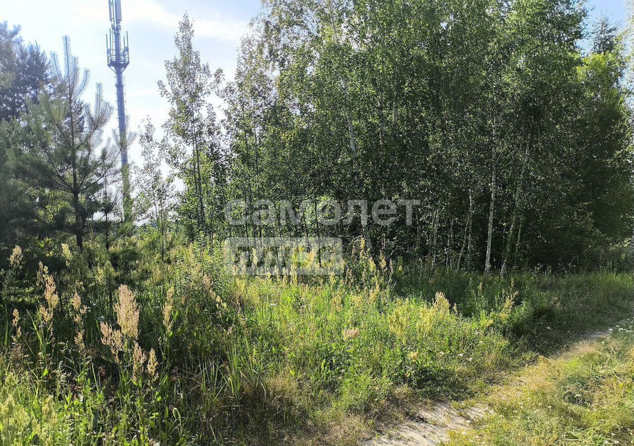земля р-н Кстовский г Кстово Деревня, д. Новая фото 4