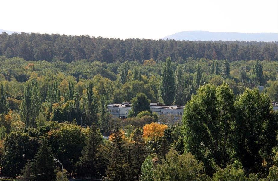 квартира г Тольятти р-н Автозаводский ул Фрунзе 2в фото 14