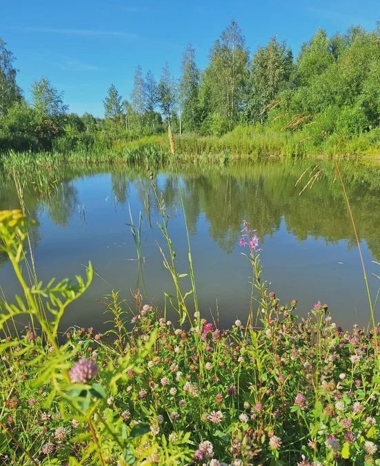 земля г Березовский п Монетный СНТ Меркурий фото 4
