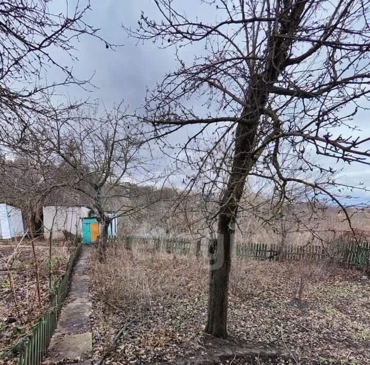 дом г Белгород Восточный ул Черняховского 30 фото 17