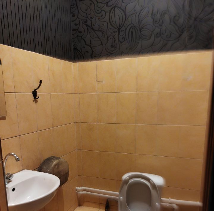 комната г Воронеж р-н Центральный пер Учебный 13а фото 5