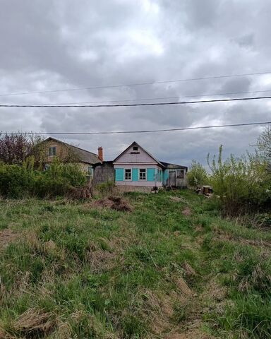 с Иван-Озеро ул Молодежная 14 Новомосковск фото