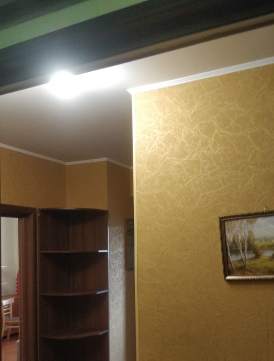 квартира г Москва метро Братиславская б-р Перервинский 27к/1 фото 4