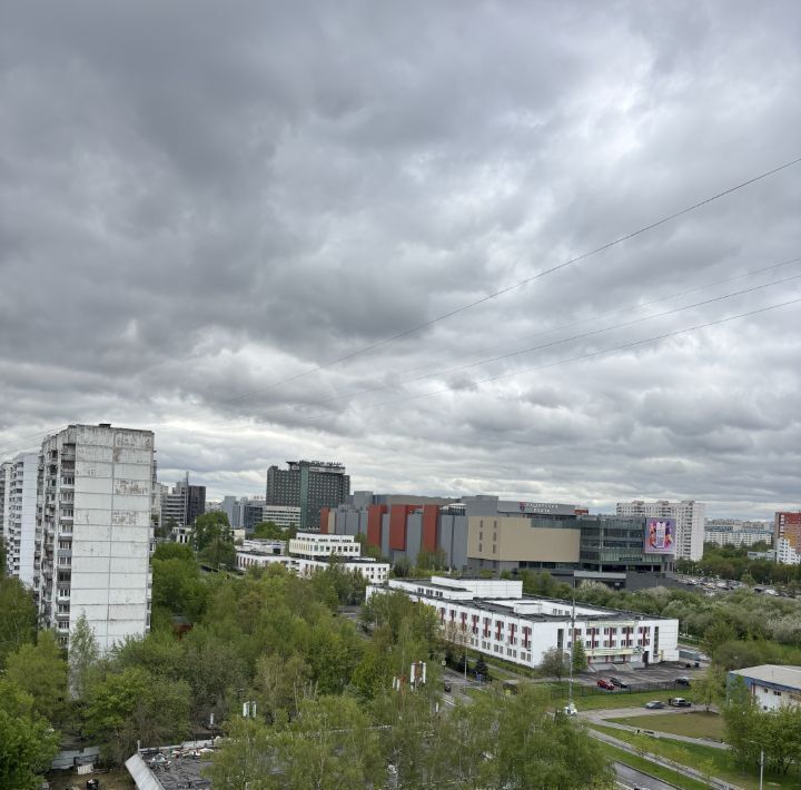 квартира г Москва метро Домодедовская проезд Борисовский 5 фото 3