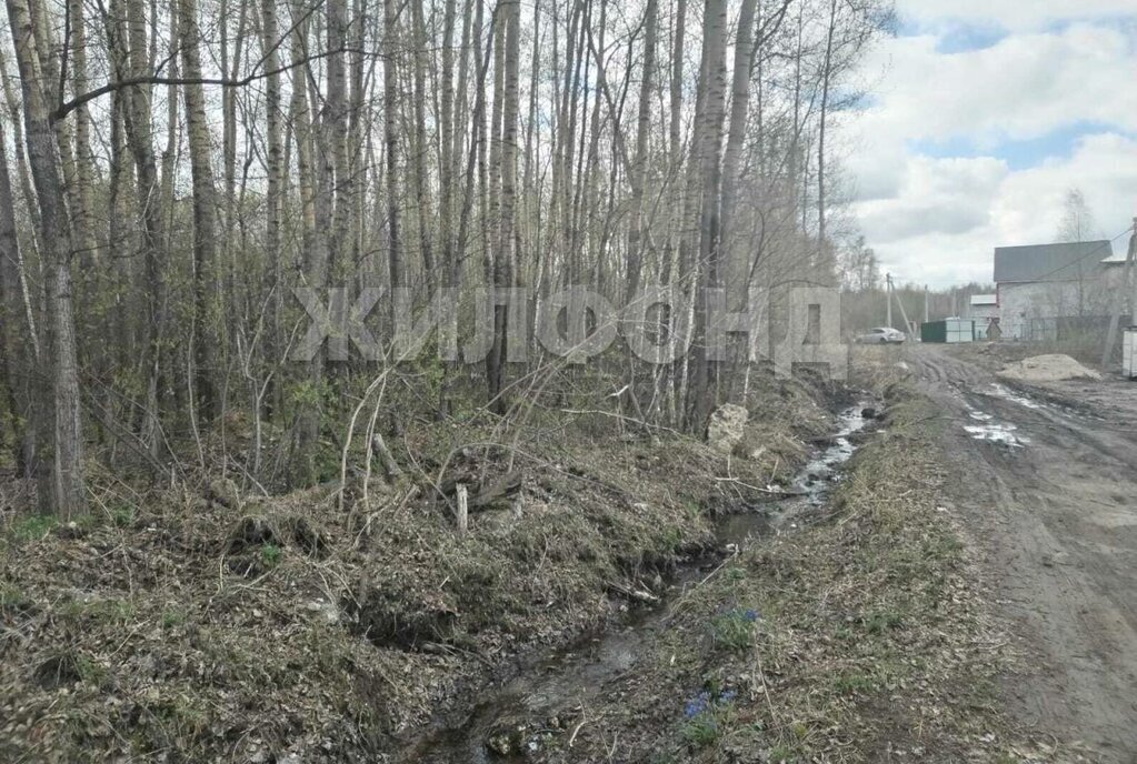 земля г Новосибирск Берёзовая роща ул Состязания фото 2
