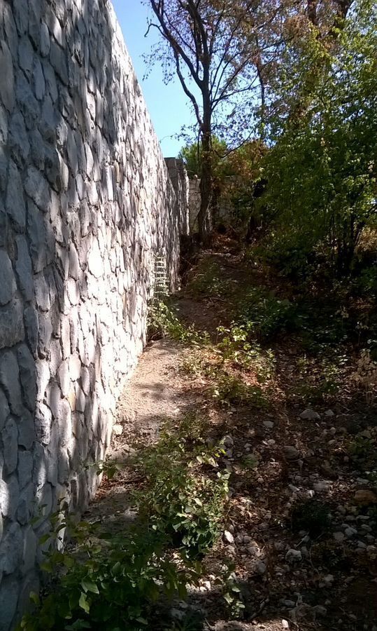 земля г Ялта пгт Гурзуф фото 2