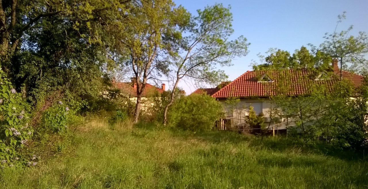 земля г Ялта пгт Гурзуф фото 4