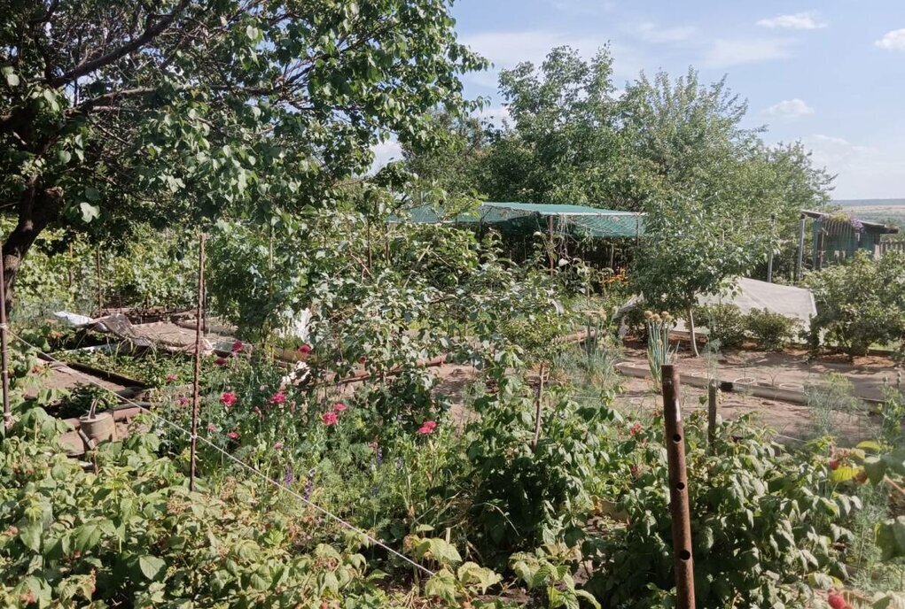 дом г Каменск-Шахтинский снт Пионер ул Виноградная фото 16