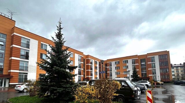 тер Пулковское ул Образцовая 9в метро Купчино фото
