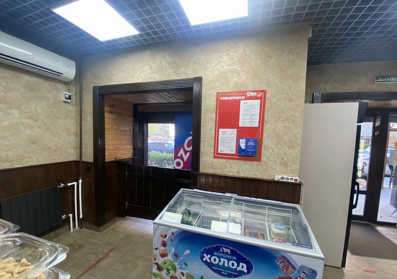 торговое помещение г Воронеж р-н Коминтерновский ул Антонова-Овсеенко 29 фото 7