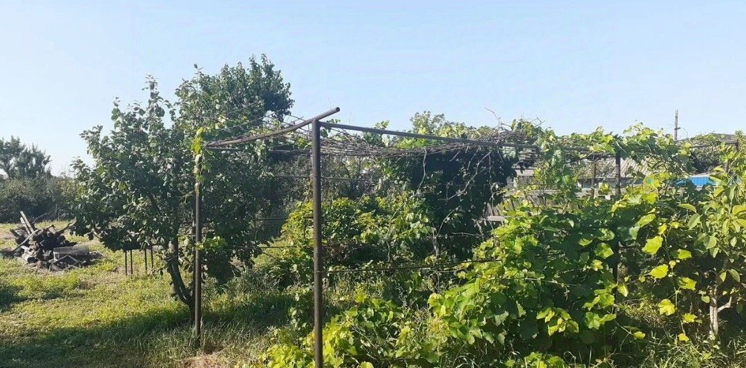 дом г Волгоград с Песчанка ул им. Мушкетова 48 р-н Советский тер. фото 12