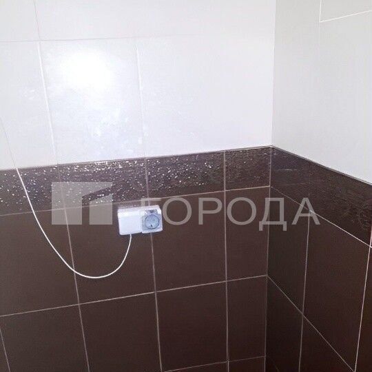 квартира г Новосибирск Золотая Нива ул Татьяны Снежиной 45/1 фото 9