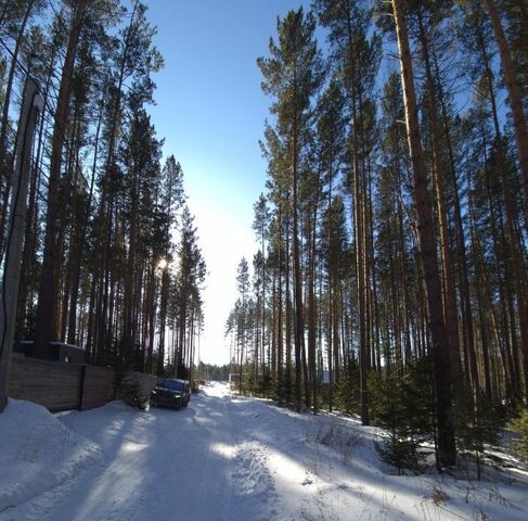 п Манский фото