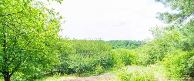 Тавровское с/пос, Смородинка СТ фото