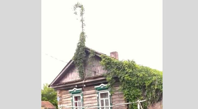 с Долгоруково ул Буровка фото