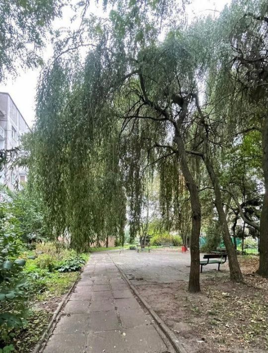 квартира г Калининград р-н Ленинградский ул Островского 15 фото 28