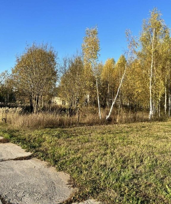 земля г Истра садово-дачное товарищество Зеленково-2, Нахабино фото 3