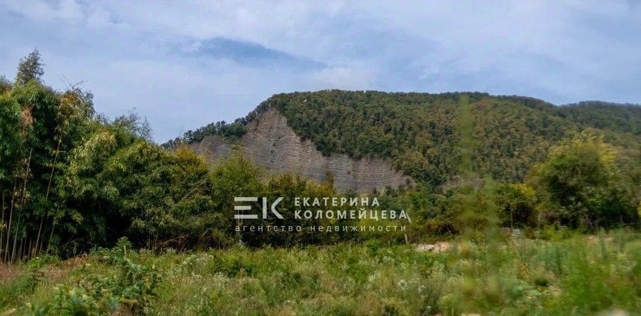 земля г Сочи р-н Лазаревский с Барановка ул. Золотая фото 2