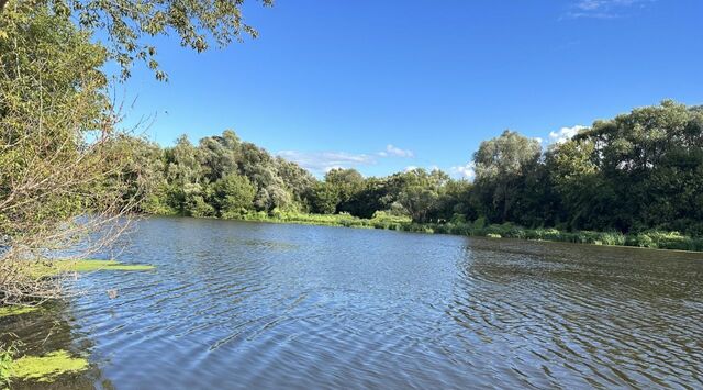 снт Сура 80, Бессоновский район фото