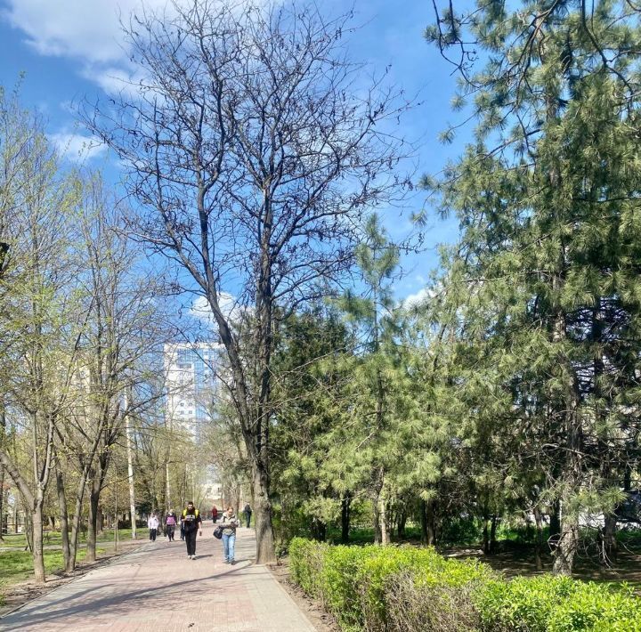 квартира г Ростов-на-Дону р-н Октябрьский Рабочий городок ул Стадионная 38 ЖК Rems Residence фото 3