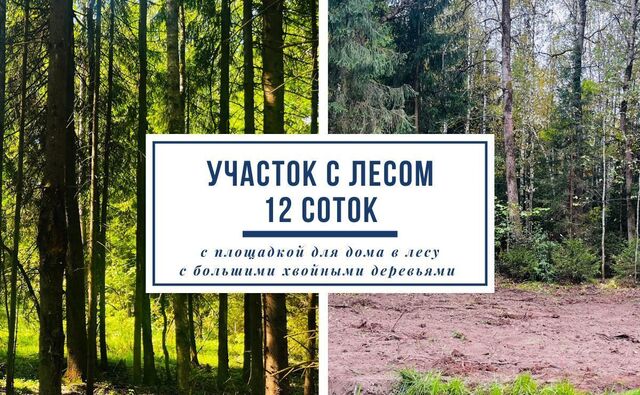 земля п Новое Гришино 32 км, 22, Деденево, Дмитровское шоссе фото