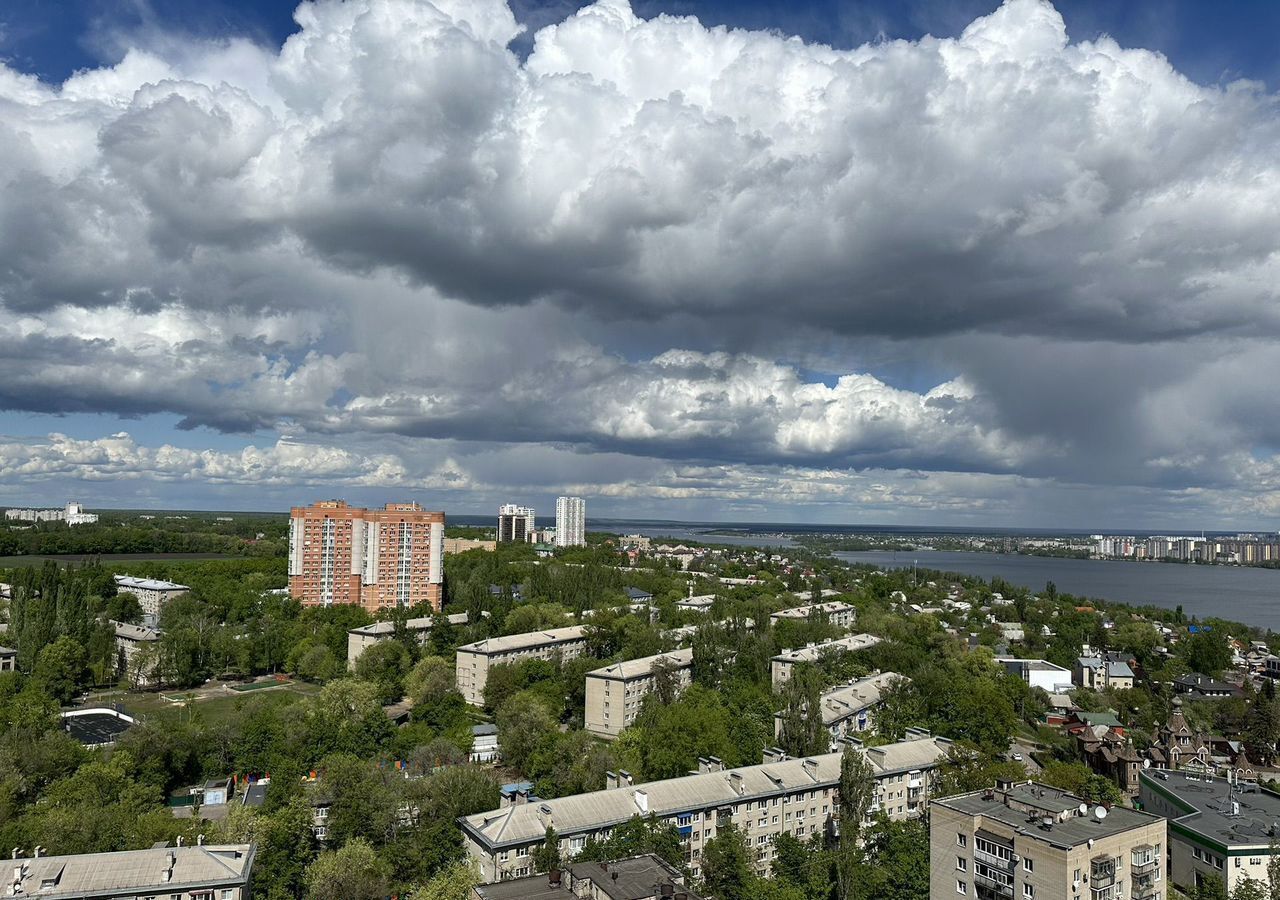 квартира г Воронеж р-н Центральный ул Березовая роща 4а фото 16