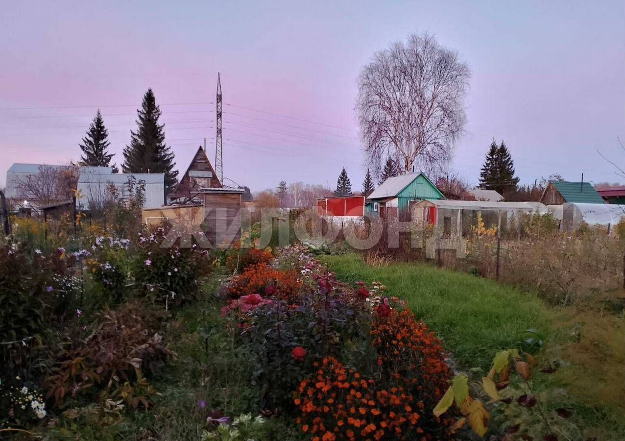 дом г Новосибирск Бердское шоссе, садовое товарищество Звёздочка фото 1