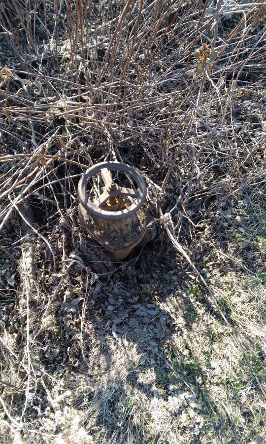 земля г Ульяновск р-н Заволжский СНТ Машзавода имени Володарского, сад № 7 фото 5