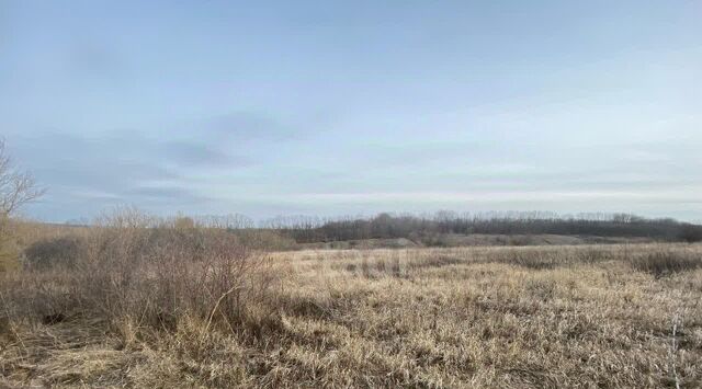 с Мазикино ул Гора Шляховское с/пос фото