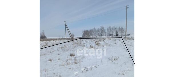 ул Белгородская фото