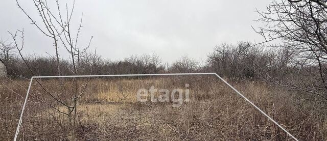 снт Журавушка фото