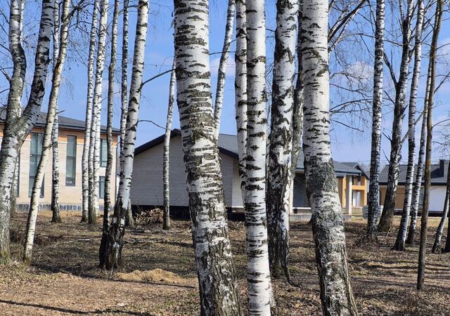 с Малые Ключи ул Равиля Шарафеева 1 Республика Татарстан Татарстан, Большеключинское сельское поселение, Осиново фото