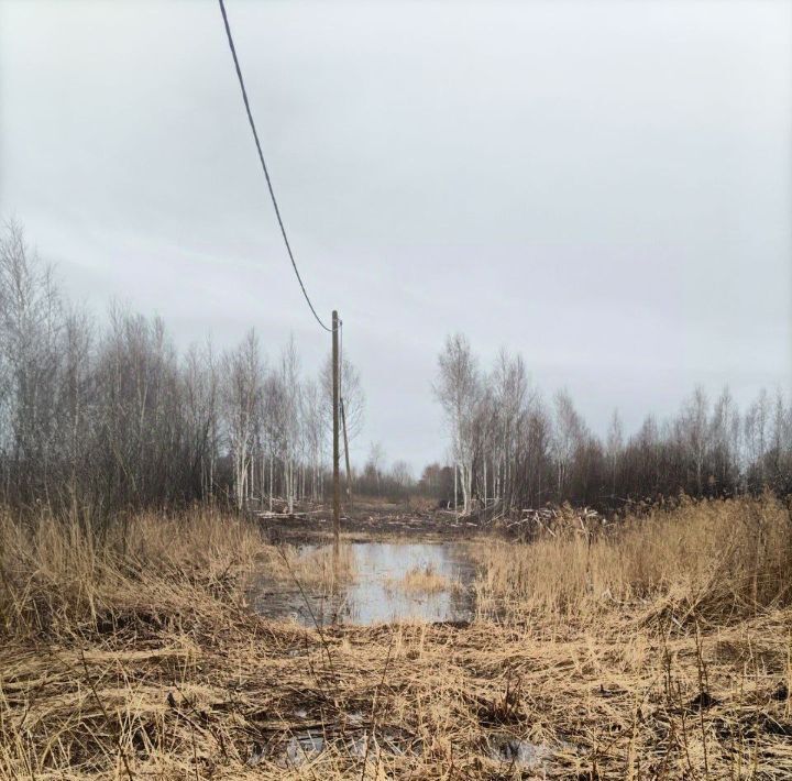 земля г Тюмень р-н Центральный снт Липовый остров Тюмень, ул. 16-я Восточная фото 5
