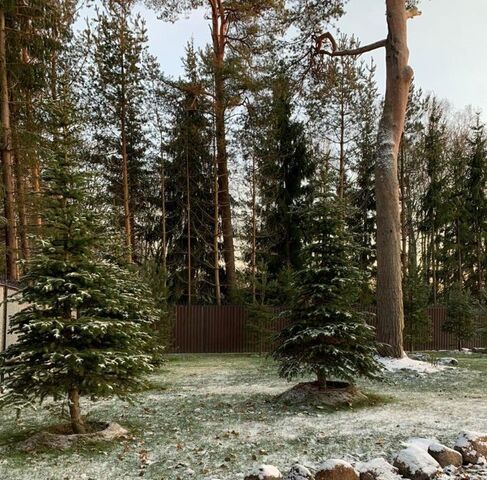 ул Репина р-н Курортный фото