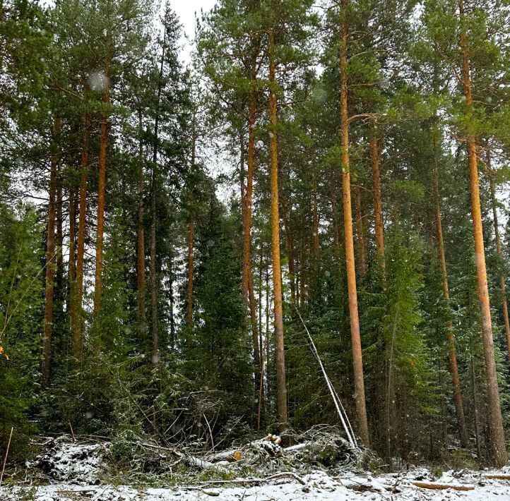 земля г Кировград фото 3