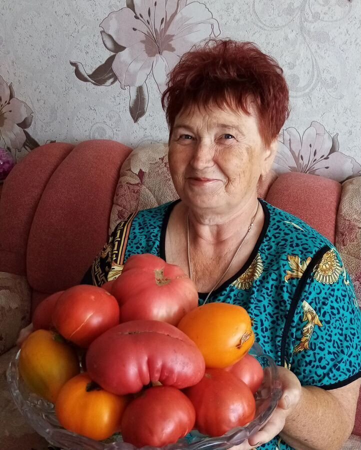 дом р-н Куйбышевский г Куйбышев ул Краскома фото 2