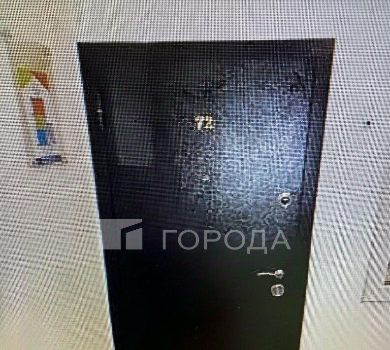 квартира г Новосибирск ул Ясный Берег 6 Площадь Ленина фото 12