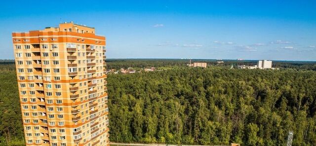 метро Щелковская ул Чистопольская 32 Московская область, Балашиха фото