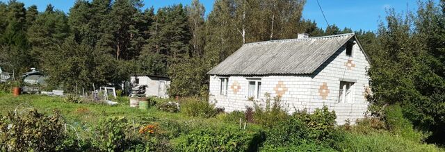 р-н Псковский снт Флора Тямшанская волость фото