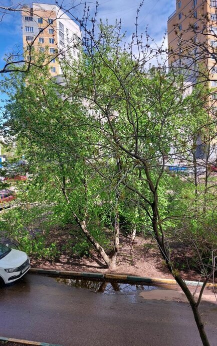 квартира г Нижний Новгород Бурнаковская ул Сергея Акимова 26 фото 24