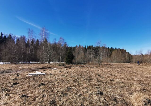 земля г Яхрома 43 км, 262, СНТ Горки-Р, Дмитровское шоссе фото