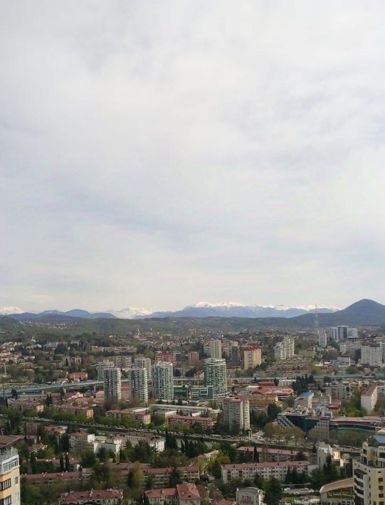 квартира г Сочи р-н Центральный ул Виноградная 4 фото 7