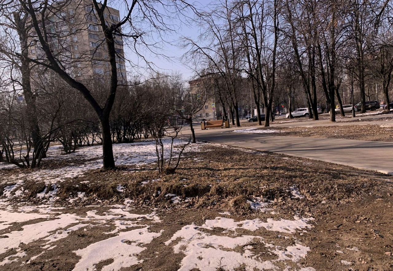квартира г Москва метро Волжская б-р Волжский 47 муниципальный округ Кузьминки фото 12