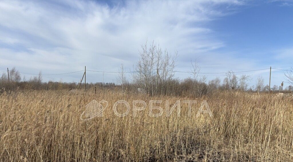 земля г Тюмень снт Фиалка ул. 9-я, 9 фото 3