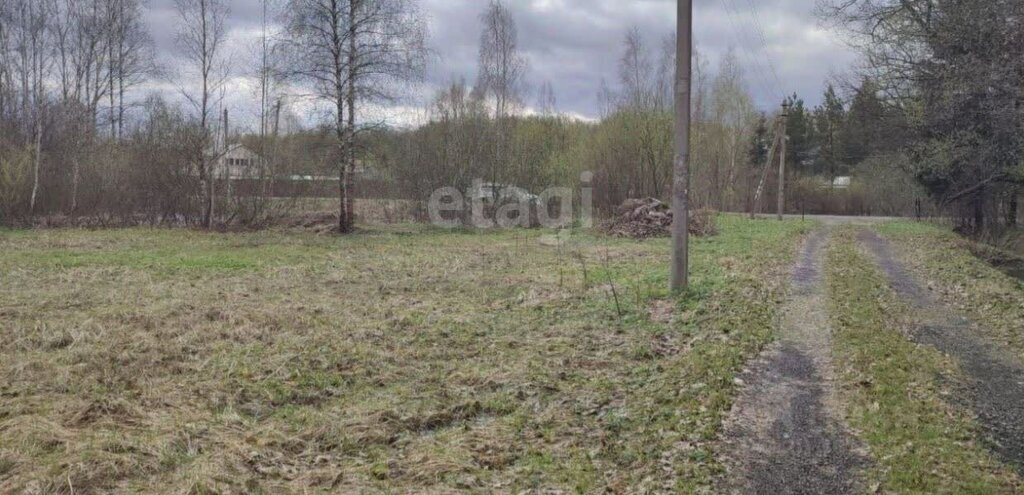 земля г Воронеж снт Дубрава ул Березовая фото 1