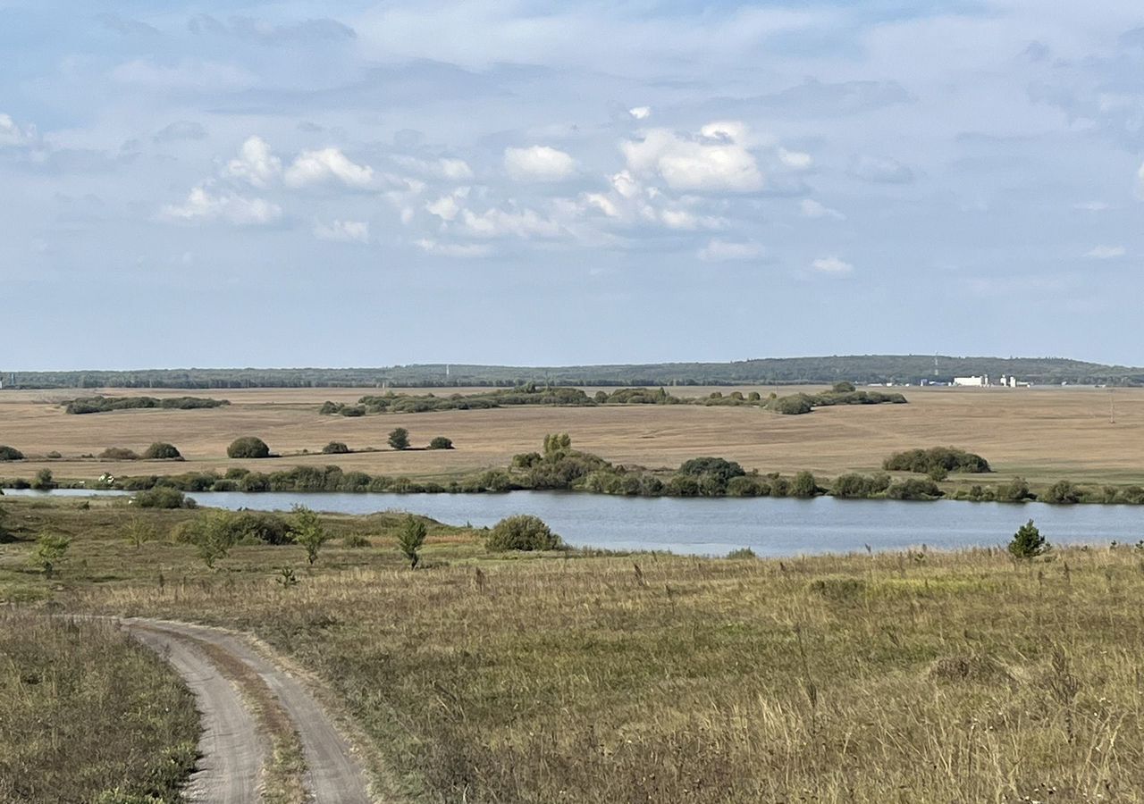 земля г Ульяновск с Луговое ул Троицкая р-н Железнодорожный фото 3