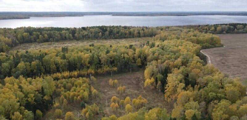 земля г Лосино-Петровский ул Почтовая 25 24 км, Щёлковское шоссе фото 3